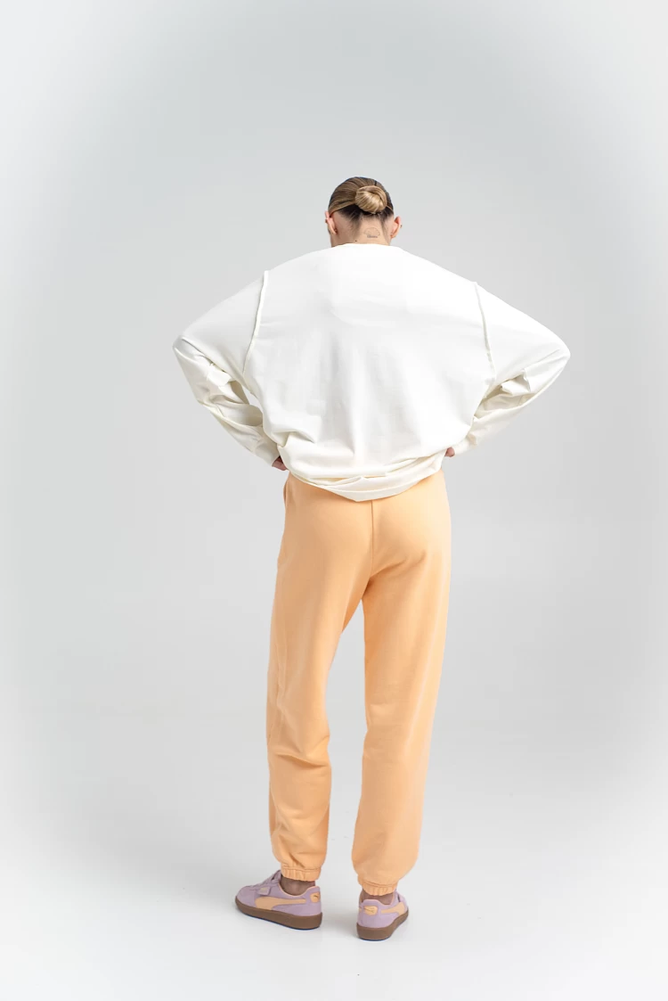 Лонгслів  Influence