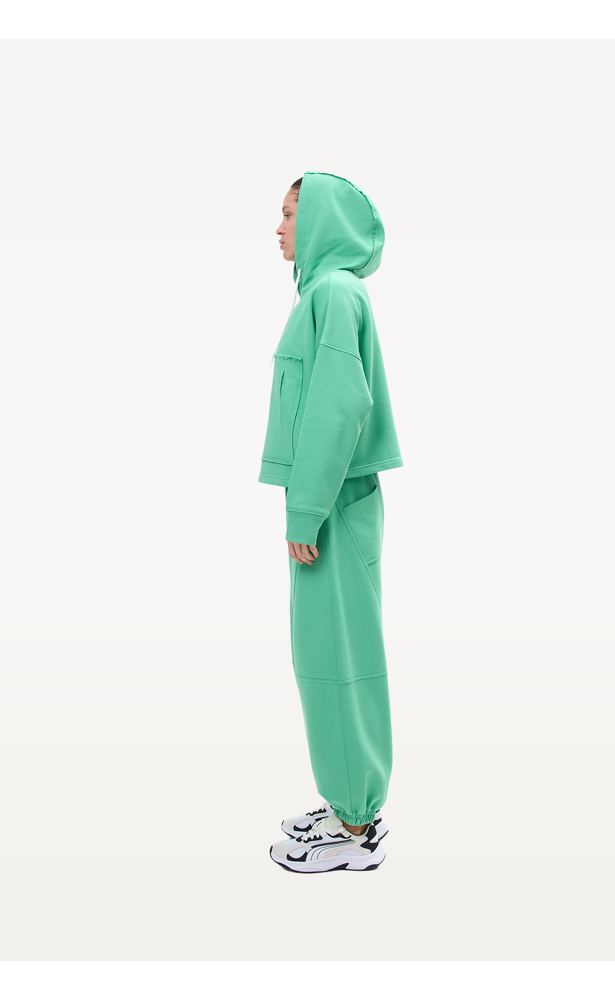 Hoodie women's FRND FOR FRIENDS roxie green