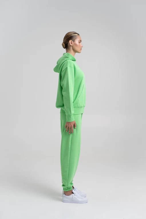 Штани FRND FOR FRIENDS Mia Pants світло-зеленого кольору